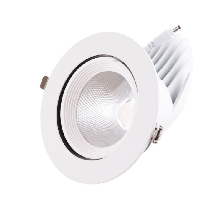 Greenice Foco Downlight Led W Lm Circular Orientable H