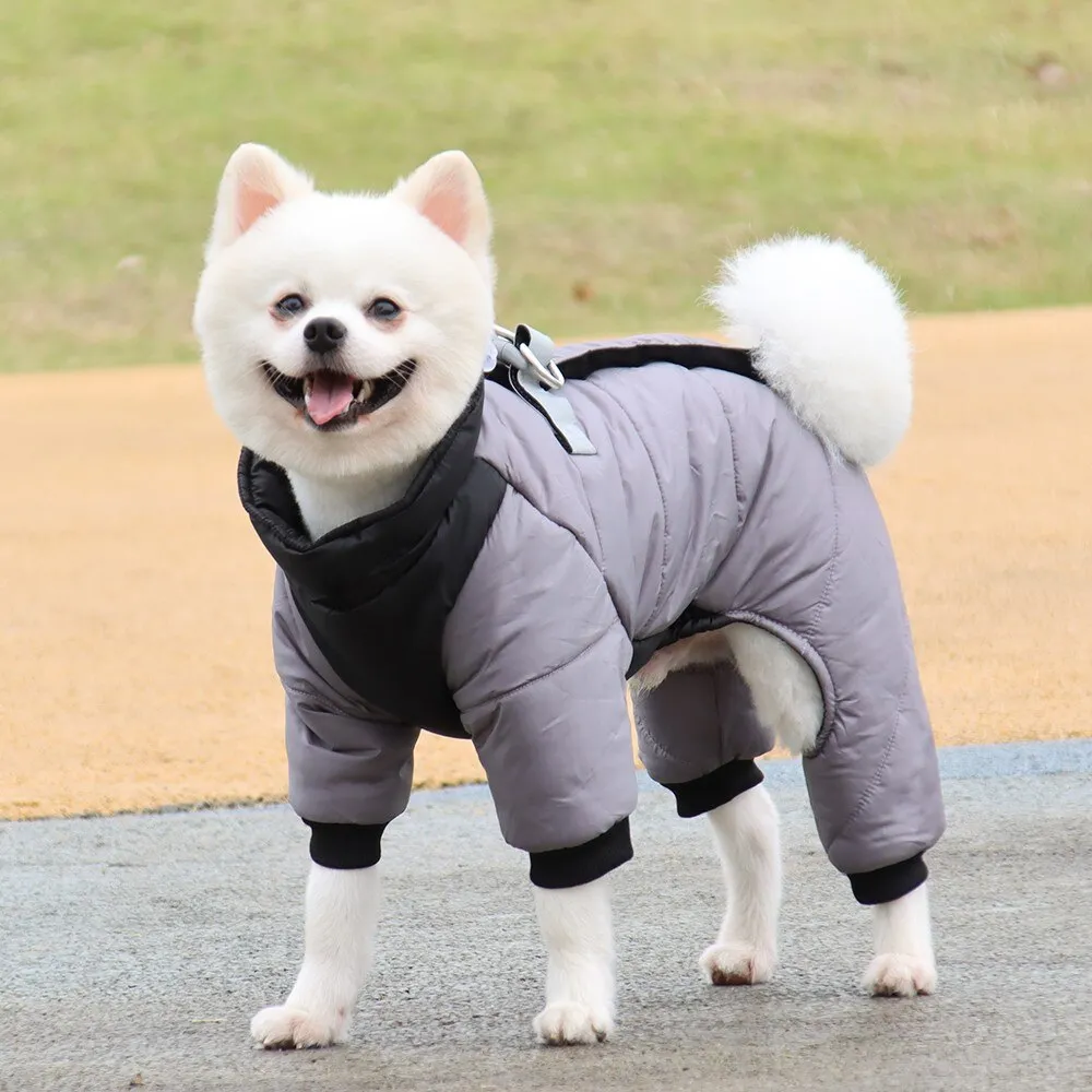 Ropa de invierno para perros pequeños, chaqueta cálida para cachorros, abrigos impermeables Chihuahua, Bulldog Francés, Mono perros pequeños y medianos | Miravia