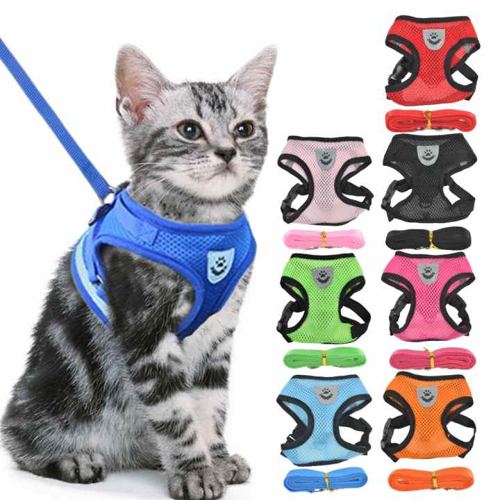 Arnes Sencillo Ajustable Para Gato Color Azul