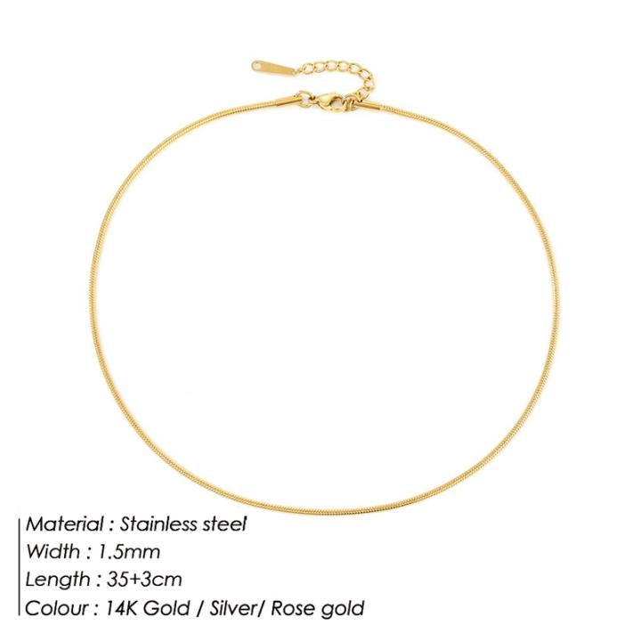 Collar De Cadena De Hueso De Serpiente De Acero Inoxidable | Envío Gratis