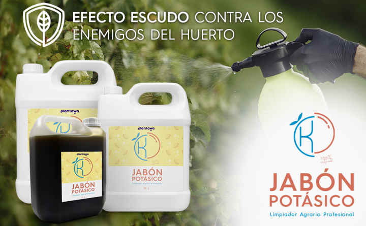 Pack Protección: Jabón Potásico, Neem y Purín de Ortiga