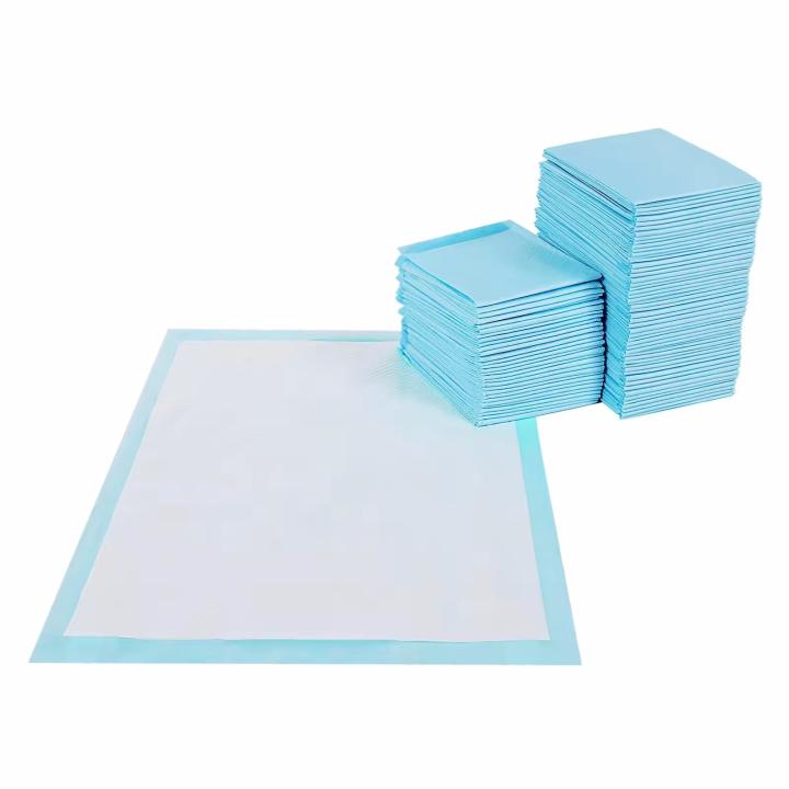 Pack De 10 Empapadores Para Perros 90x60 Cm - Almohadillas Desechables, Alta Absorción, Control De Olores