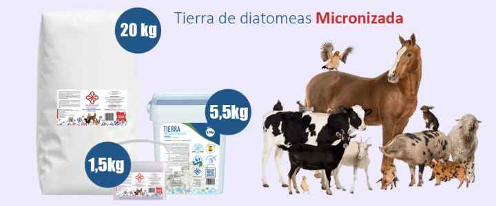 Tierra de diatomeas grado alimentario humano 400 gr Diatomeas Iberia