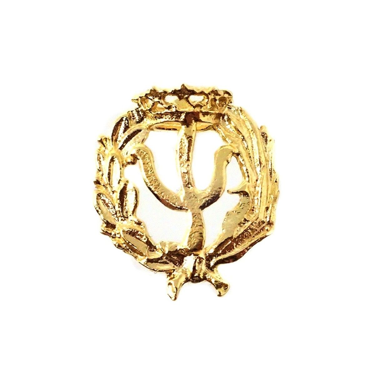 Insignia Aparejador Plata Ley 925 | 19 Mm | Pin Trasero Latón Plateado | Para Graduados Universitarios