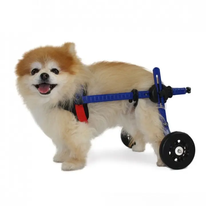 Silla de Ruedas a medida para perros de 5 a 10 kg. Arnés Color Azul