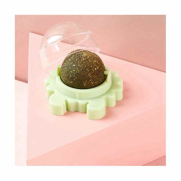 6pcs Catnip Wall Ball Toys Edible Licking Toy Chew Toy Teeth Cleaning