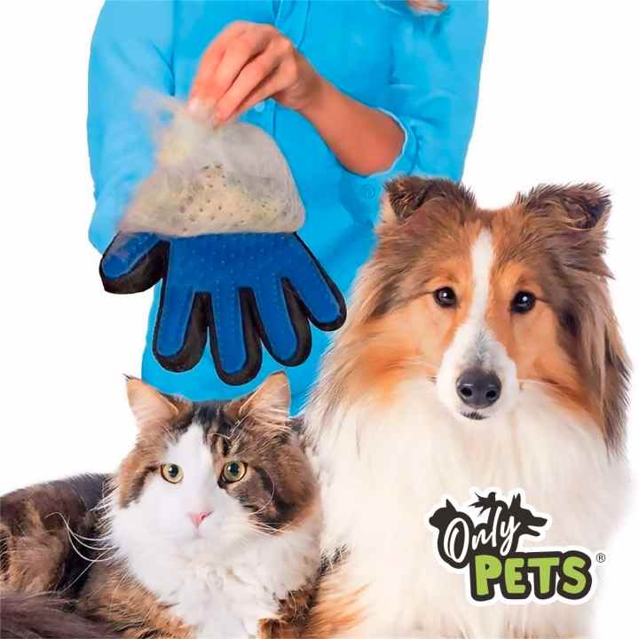 Only Pets Quita Pelos Mascota - Rodillo Quitapelos Mascotas para Gatos y  Perros, Lavable y Reutilizable - Quitar Pelo Mascotas para Alfombras, Ropa  y