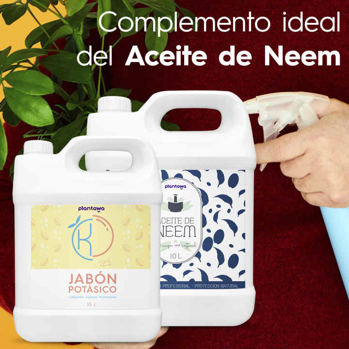 Aceite Natural de Neem + Jabón Potásico - Pulverizador