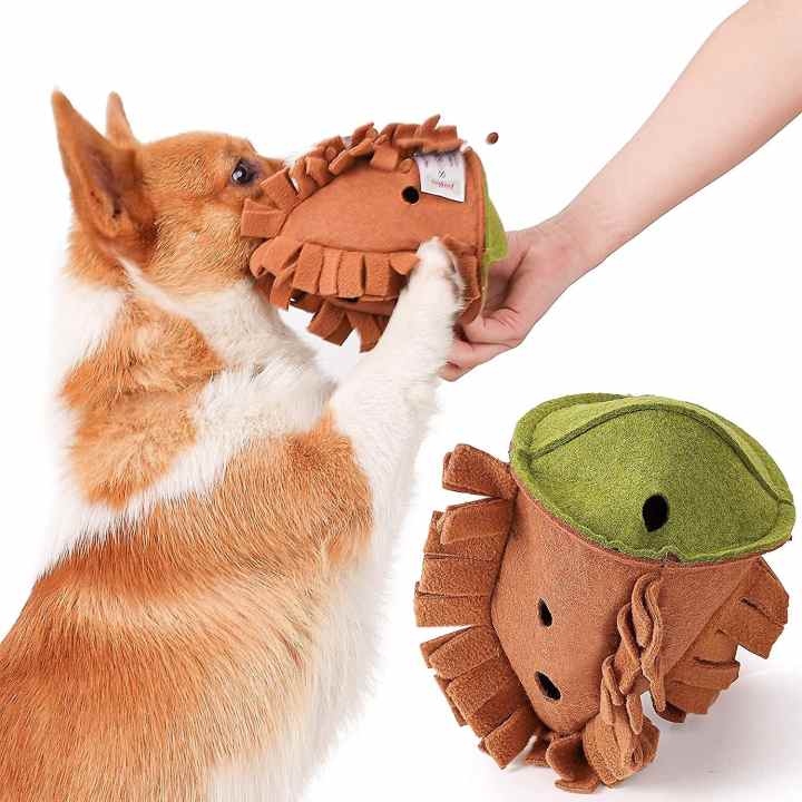 Dog Squeaky Educational Snuffle Toys, Pet Hide And Seek Plush Toy, Colorful  Dog Iq Chew Toys, And Puppy Toys, Cute Interactive Plush Puzzle Toys, Bird