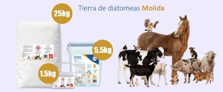Tierra de Diatomeas para consumo humano, Diatomeas Iberia (150g) 