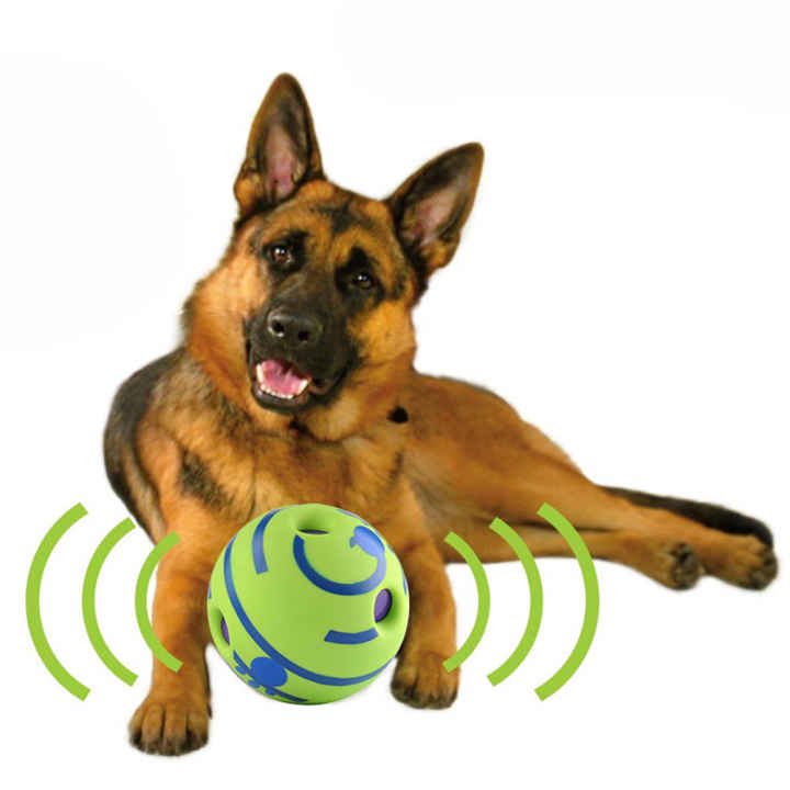 Juguete interactivo para perros, hecho en casa - Interactive toy for dogs,  homemade