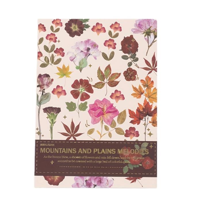 Kit De Construcción De Flores Con 887 Piezas – 9 Plantas Botánicas Para Decorar Y Coleccionar